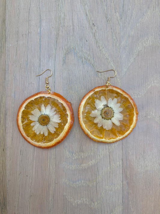 White Daisy Orange Slices